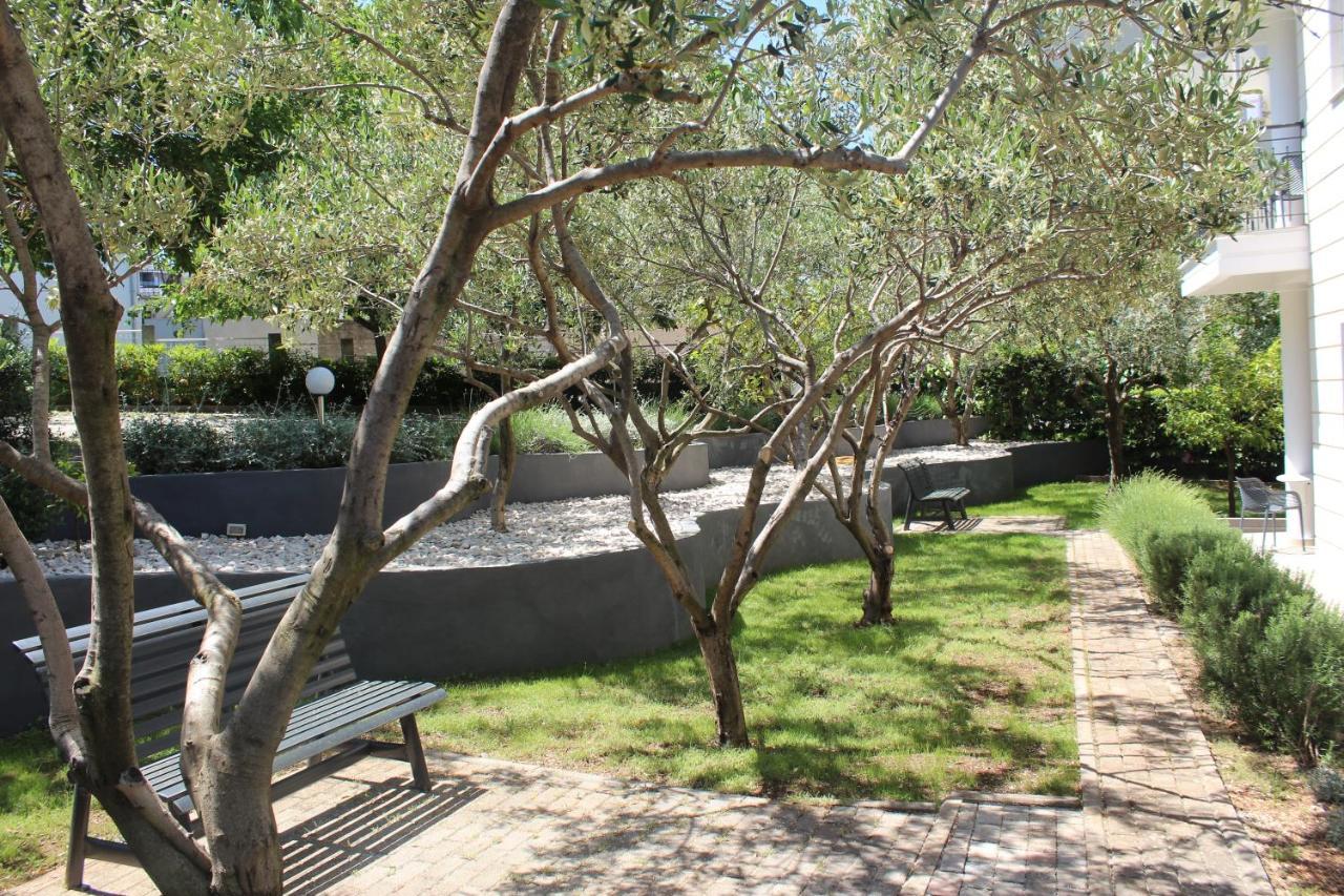Villa Mihaela تروغير المظهر الخارجي الصورة